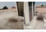 Dead bodies in Pakistan