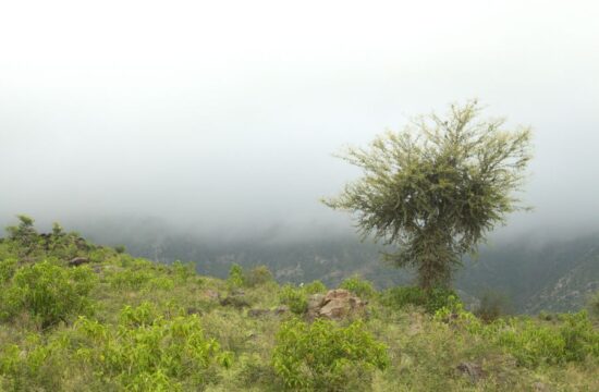 Aravalli mountains in Alwar, Rajasthan