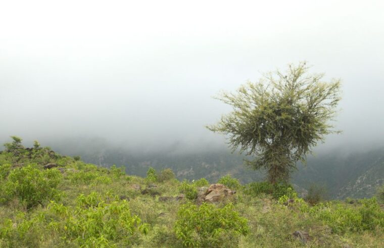 Aravalli mountains in Alwar, Rajasthan